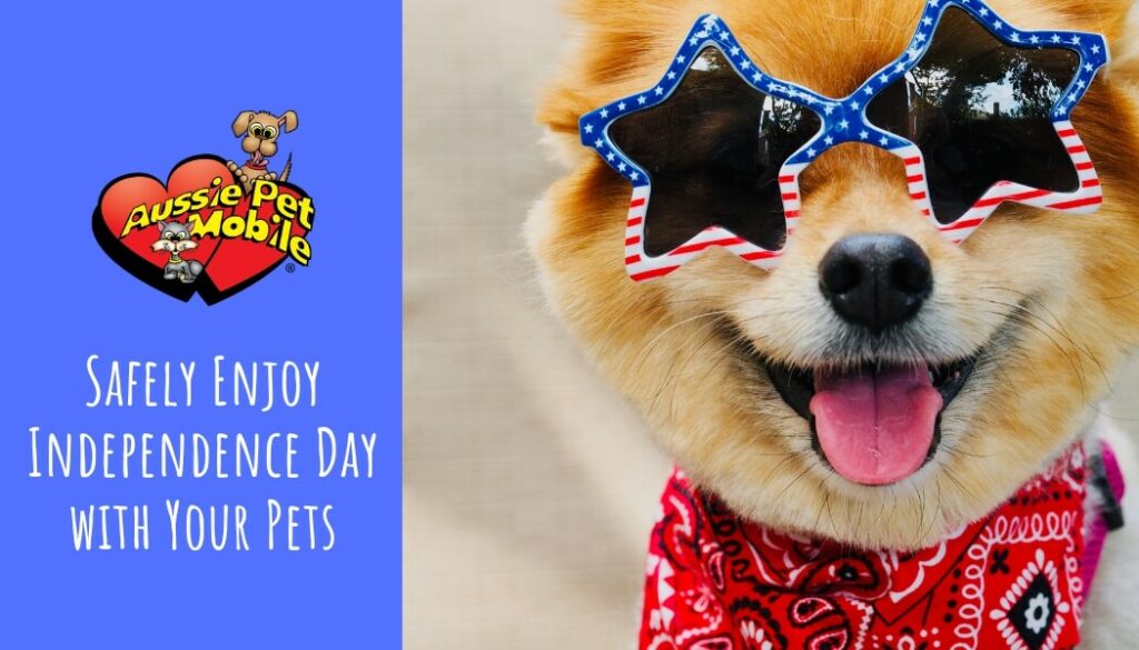 Safely Enjoy Independence Day with Your Pets