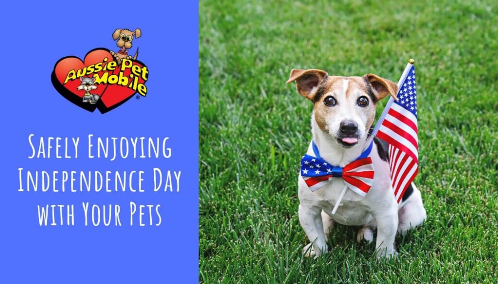 Safely Enjoying Independence Day with Your Pets