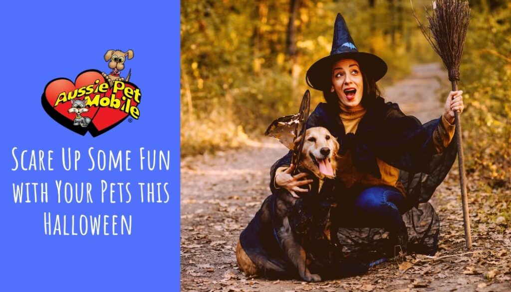 Scare Up Some Fun with Your Pets this Halloween