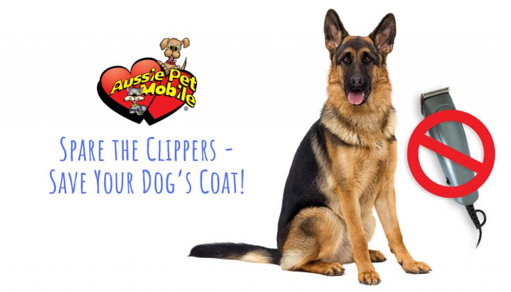 Spare the Clippers – Save Your Dog’s Coat! - Sept 2020