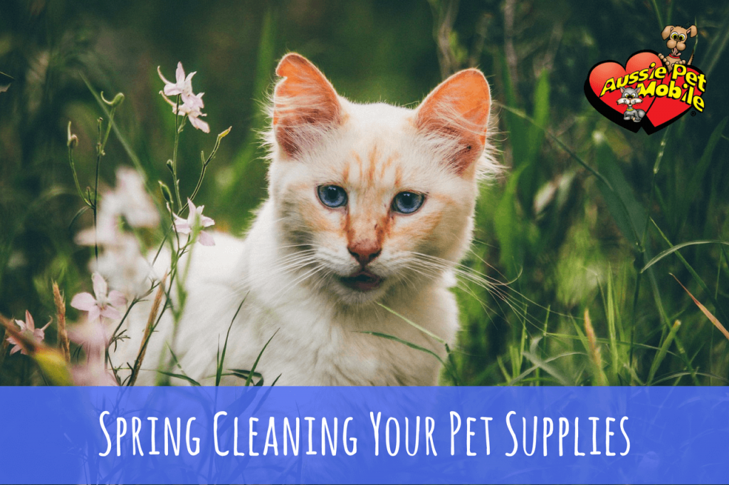 Spring Cleaning Your Pet Supplies