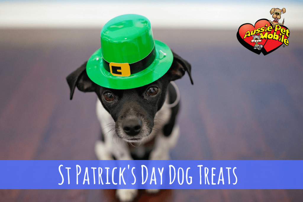 St. Patrick’s Day Dog Treats