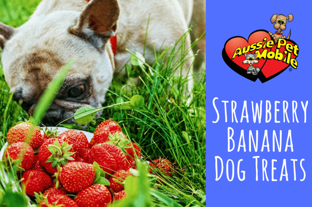 Strawberry Banana Dog Treats