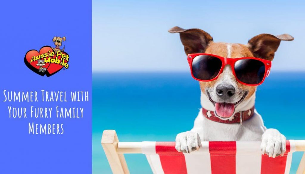 Summer Travel with Your Furry Family Members