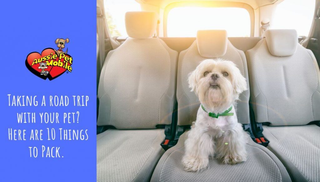 Taking a road trip with your pet Here are 10 Things to Pack