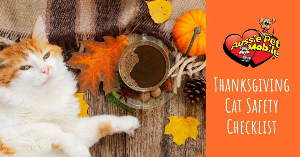 Thanksgiving Cat Safety Checklist