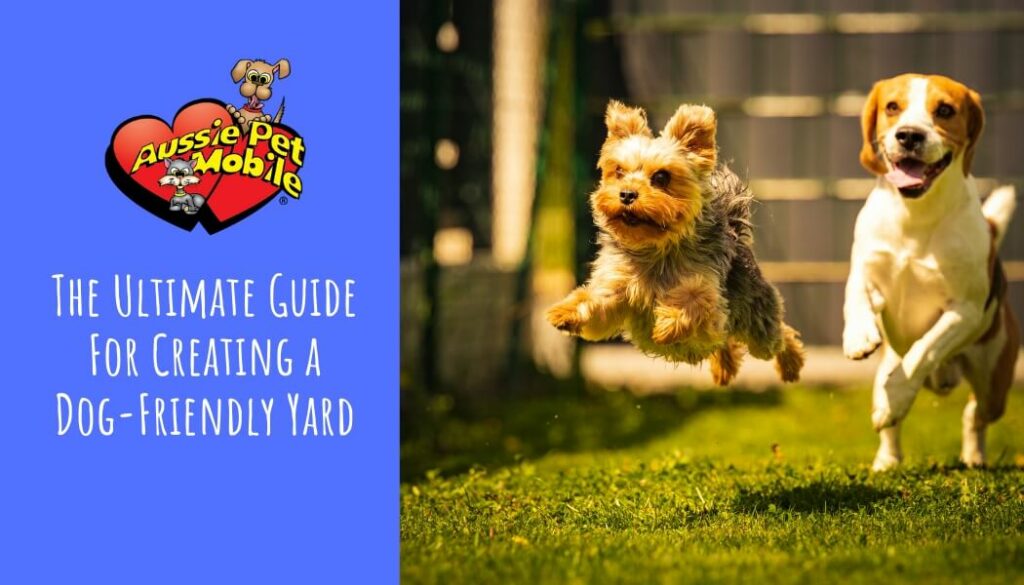 The Ultimate Guide For Creating a Dog-Friendly Yard