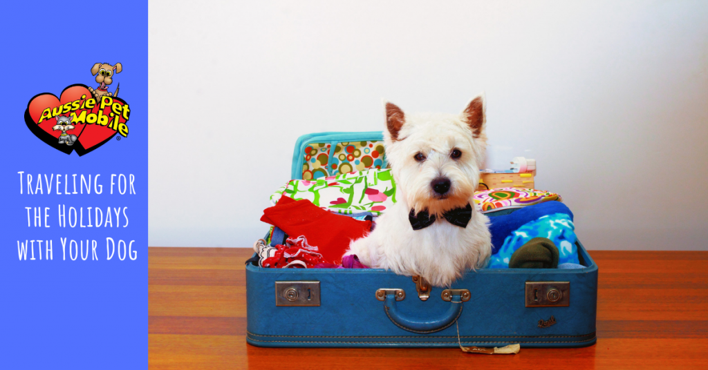 traveling for the holidays with your dog 12-19