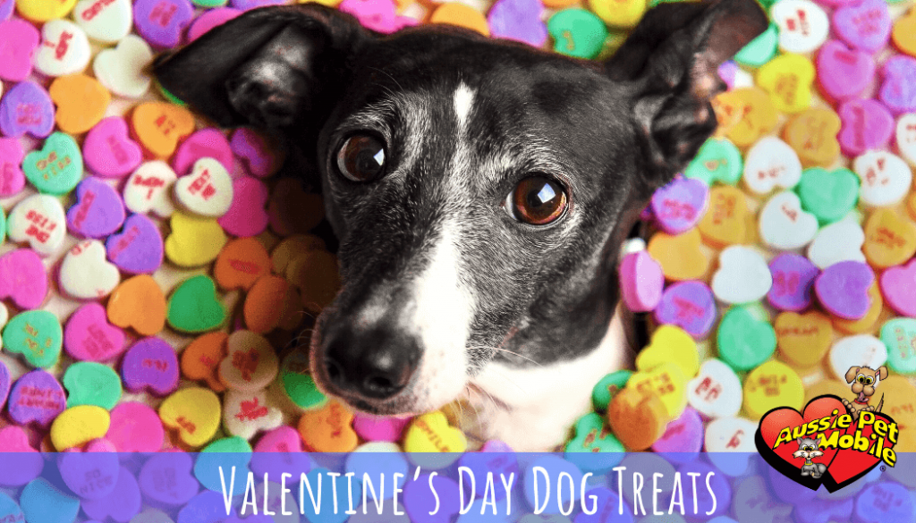 Valentine’s Day Dog Treats 2020
