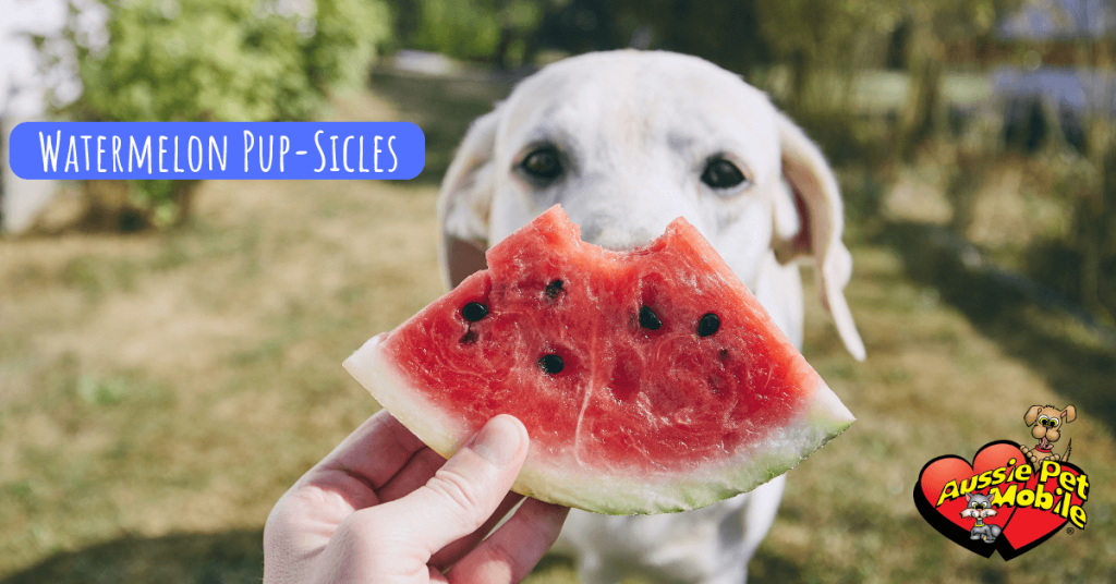 Watermelon Pup-Slices