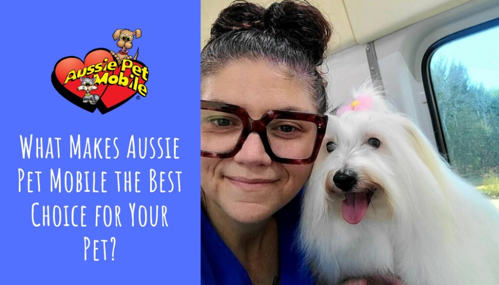 What Makes Aussie Pet Mobile the Best Choice for Your Pet May 2022