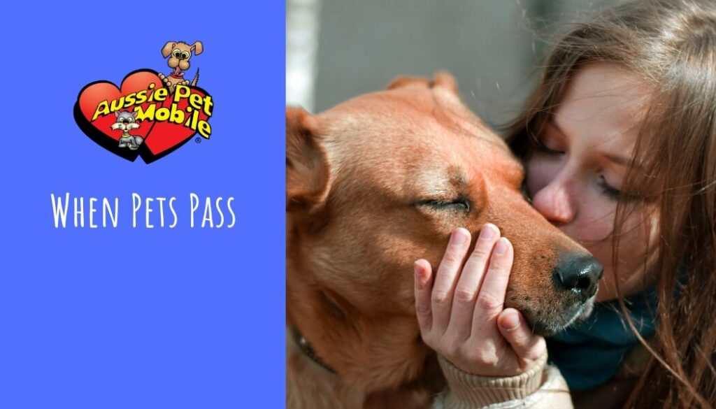 When Pets Pass